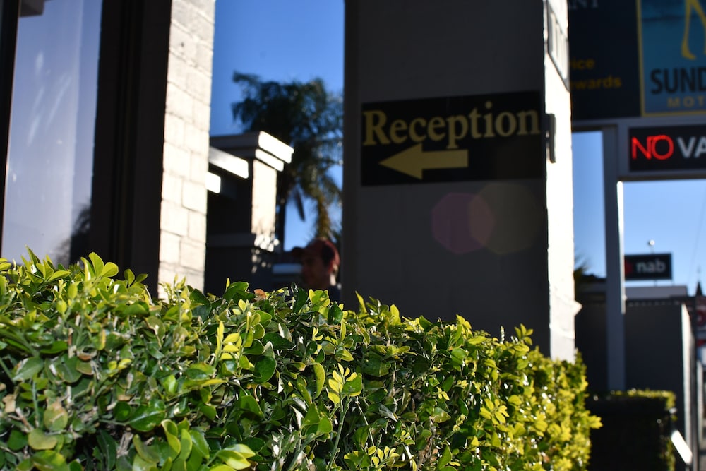 the town house motor inn