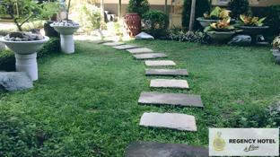 regency hotel de vigan