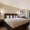 surestay hotel by best western st pete clearwater airport