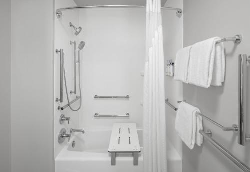 holiday inn express and suites montrose