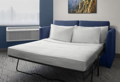 holiday inn express and suites montrose