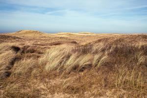 Dormio Villapark Duynzicht,Hippolytushoef>>Den Helder,2 star