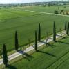 foiano della chiana