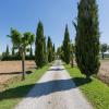 foiano della chiana