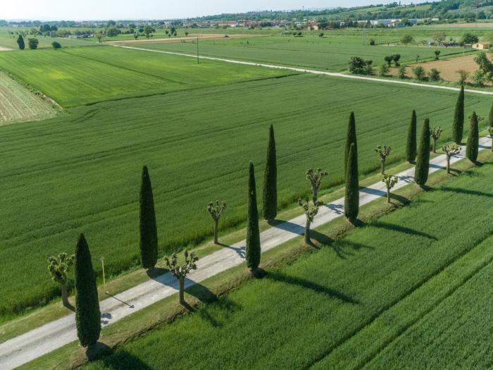 foiano della chiana