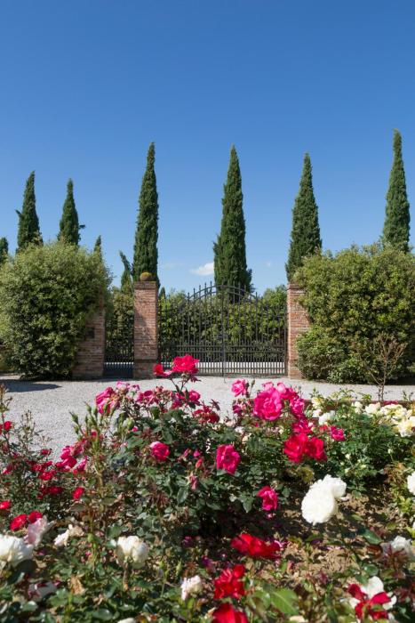 foiano della chiana