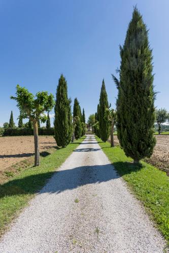 foiano della chiana