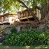 sunbird nkopola lodge