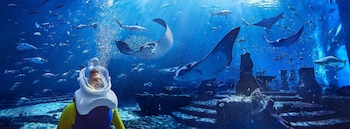 atlantis the palm