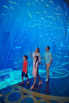 atlantis the palm