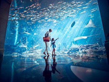 atlantis the palm