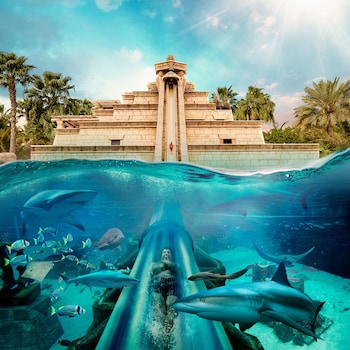 atlantis the palm