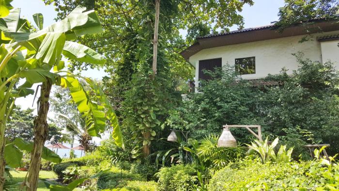 birds and bees resort