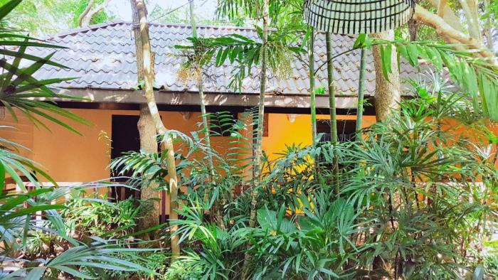 birds and bees resort