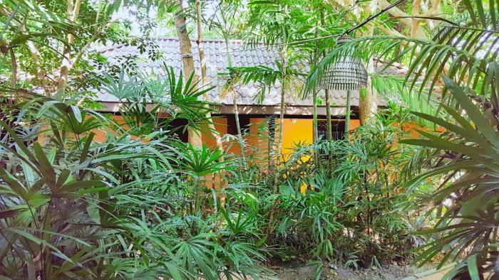 birds and bees resort