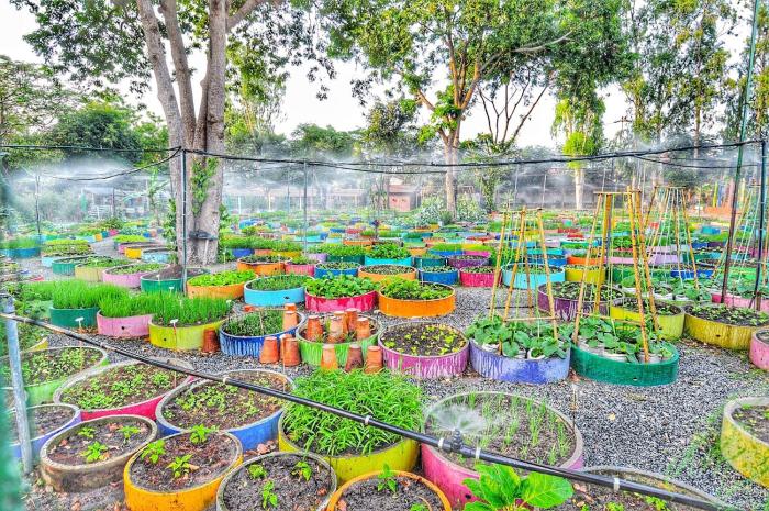 birds and bees resort