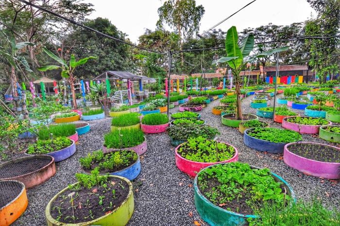 birds and bees resort