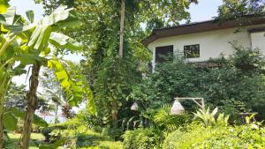 birds and bees resort