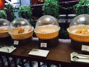 birds and bees resort