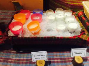 birds and bees resort