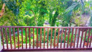 birds and bees resort