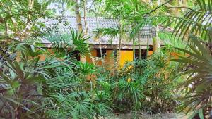 birds and bees resort