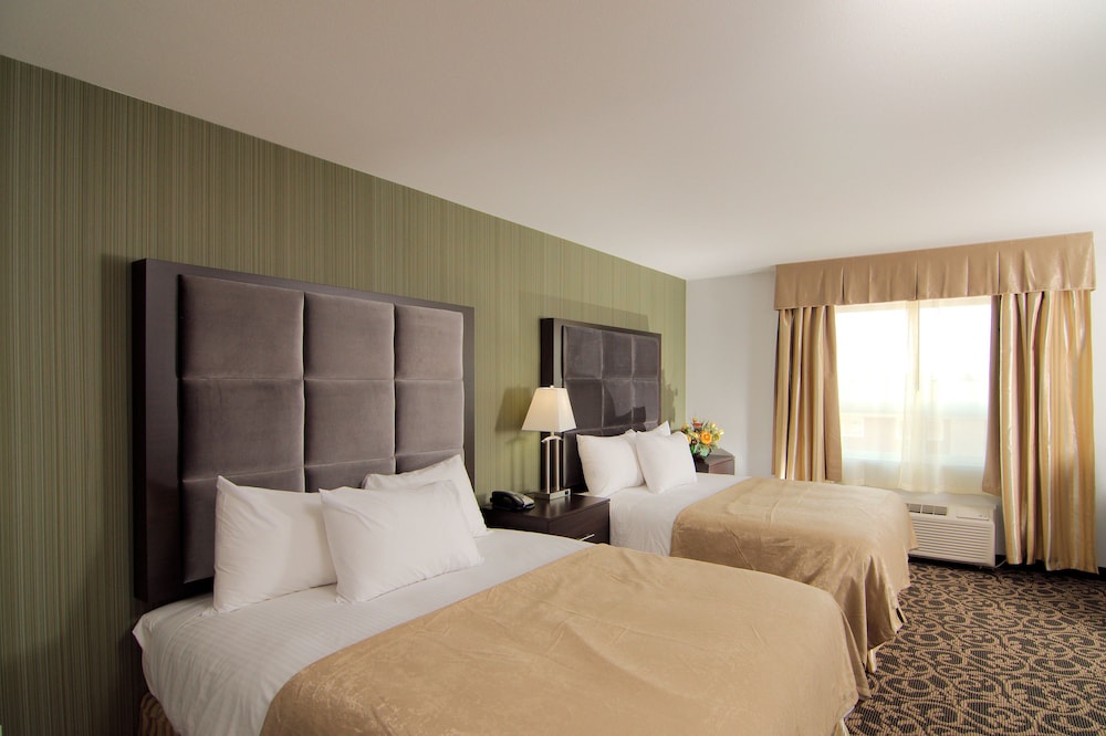 paradise inn and suites redwater