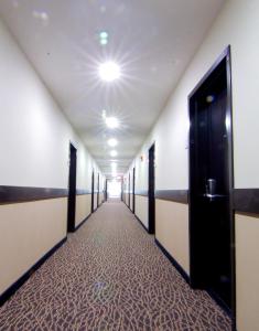 paradise inn and suites redwater