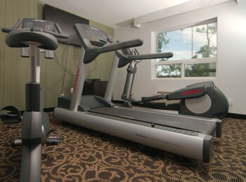 paradise inn and suites redwater