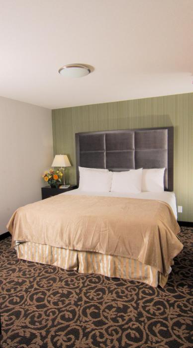 paradise inn and suites redwater