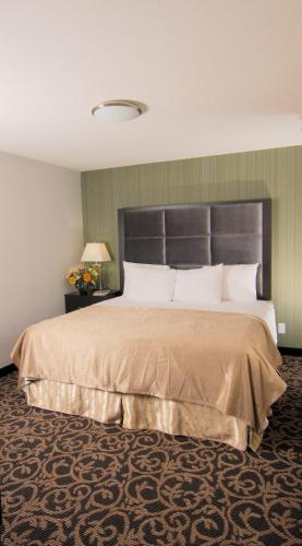 paradise inn and suites redwater
