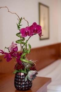 steichele hotel and weinrestaurant