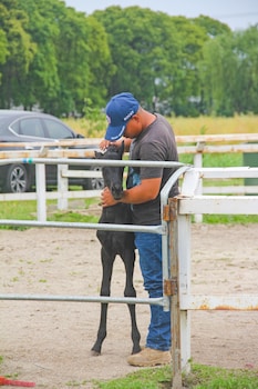 siko grand hotel suzhou yangcheng