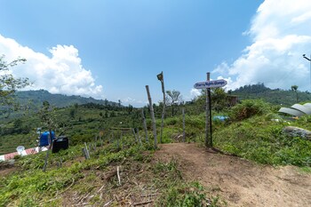 Starry Nights Glamps,,3 star