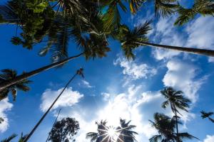 oceanature alibaug