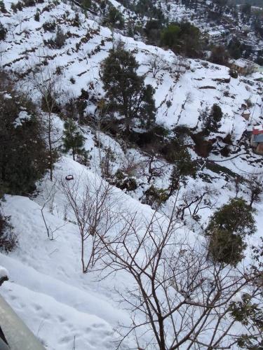 him monal homestay