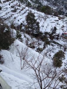 him monal homestay
