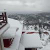 him monal homestay