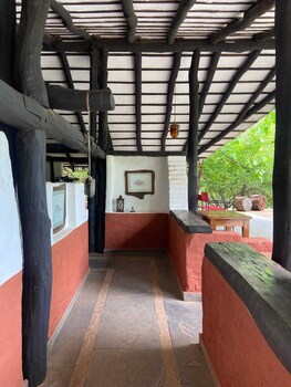 monsoon forest bandhavgarh