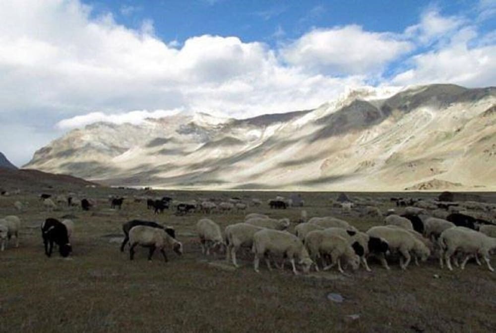 leh