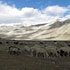leh