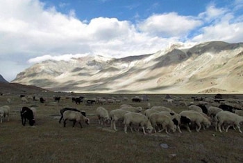 leh