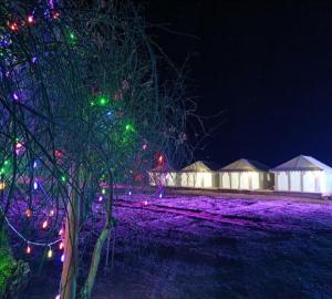 Star View Desert Camp,Khuri,3 star
