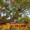 zen lazy days agonda