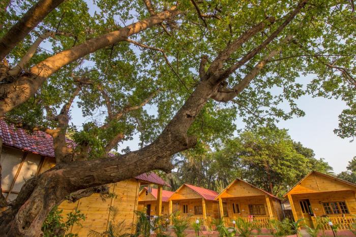 zen lazy days agonda