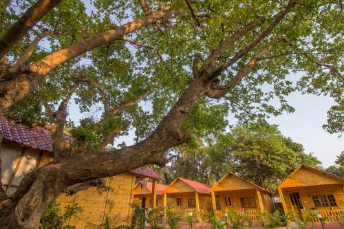 zen lazy days agonda