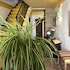 hotel la fructuosa