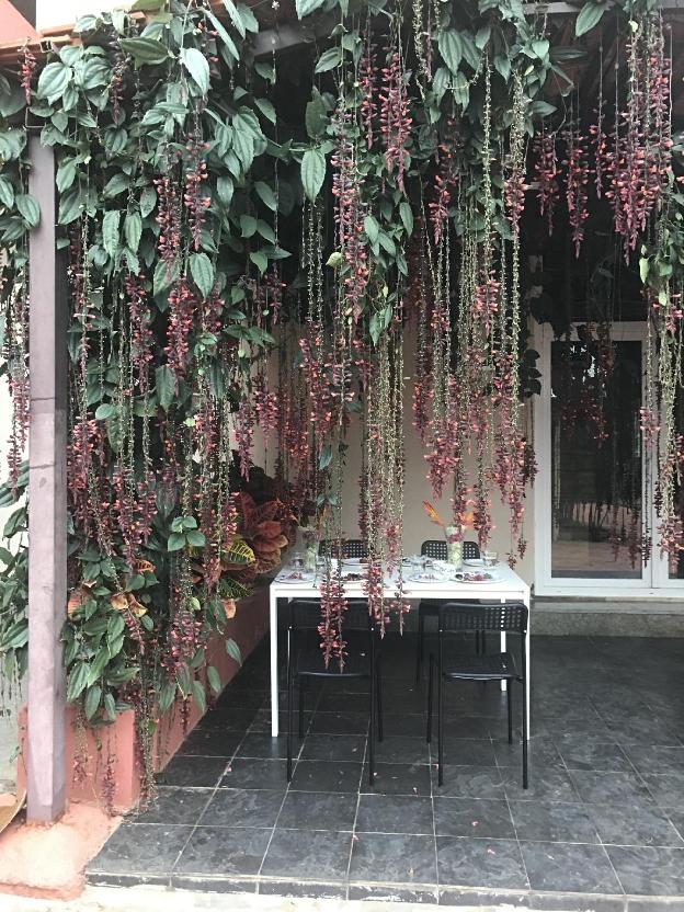 nandi hills resort hotel