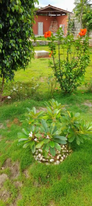 Nandi Hills Resort Hotel,Devanahalli,3 star