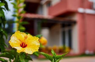 Nandi Hills Resort Hotel,Devanahalli,3 star